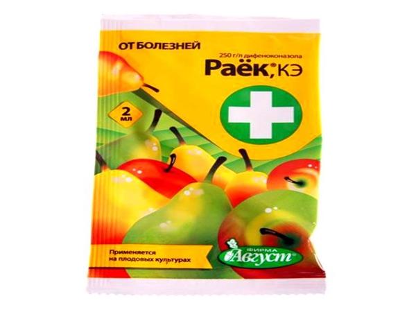 Drug Rayok