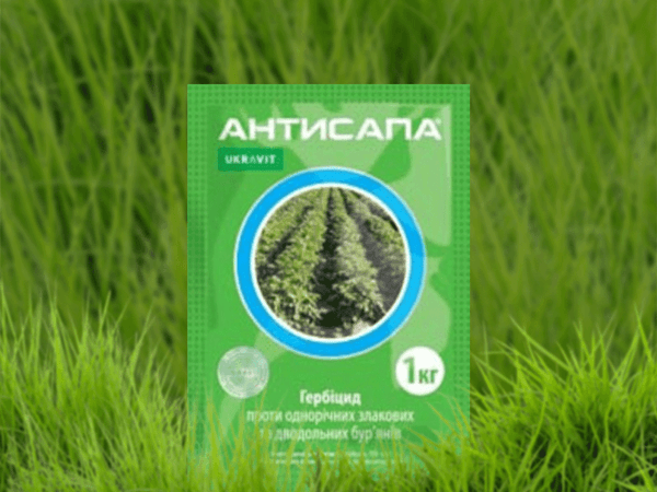 antisap herbicid