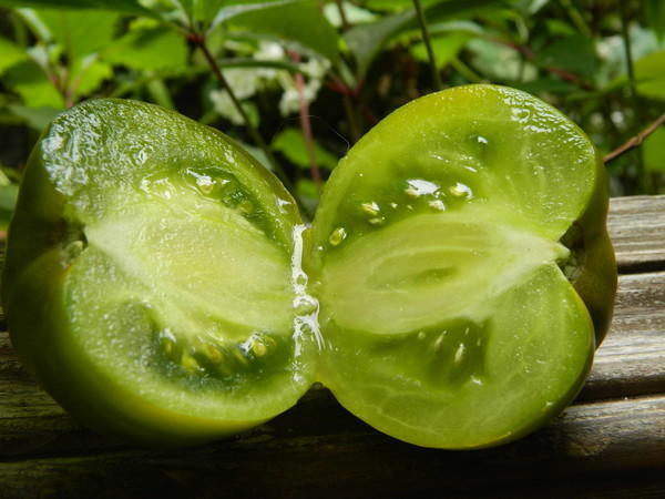 smaragdgrüne Tomatensorte