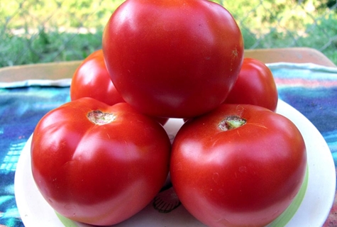 Aussehen der Red Guard Tomate