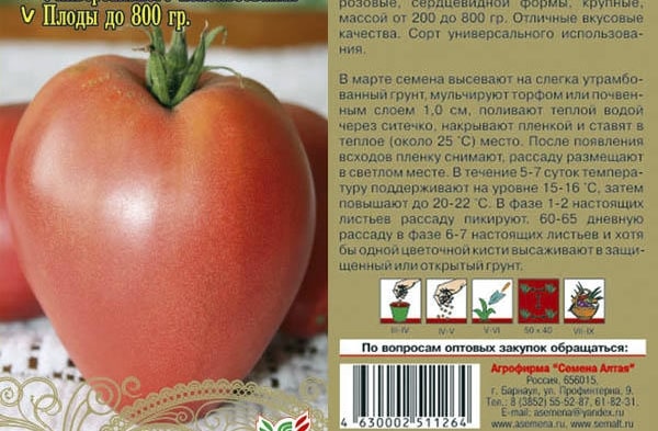 Tomatensamen Korolevich