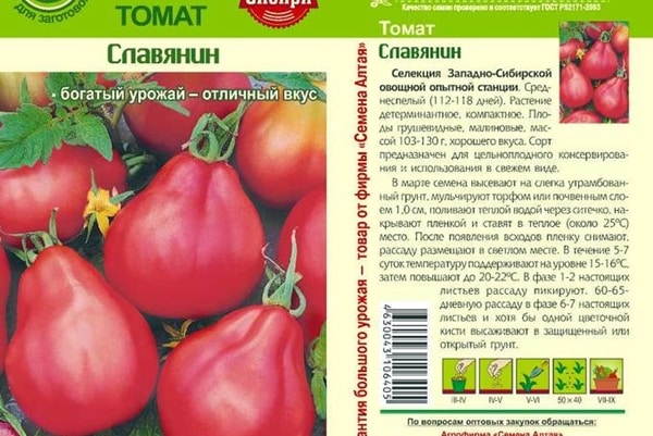 vzhled rajčat Slavyanin