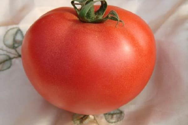 appearance of tomato valya