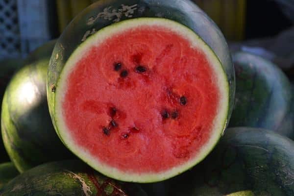 Wassermelone Spark im Inneren