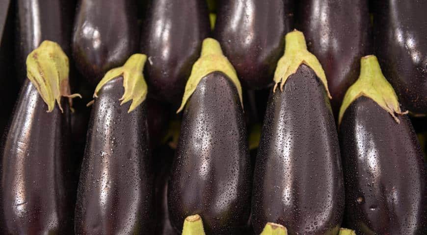 ripe eggplants