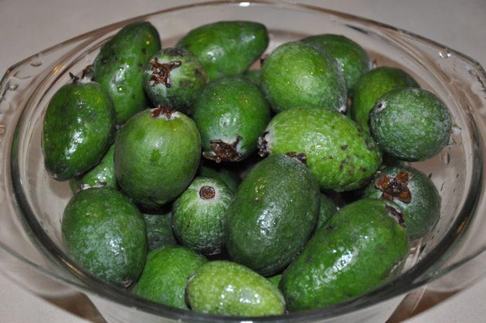 μαρμελάδα feijoa 