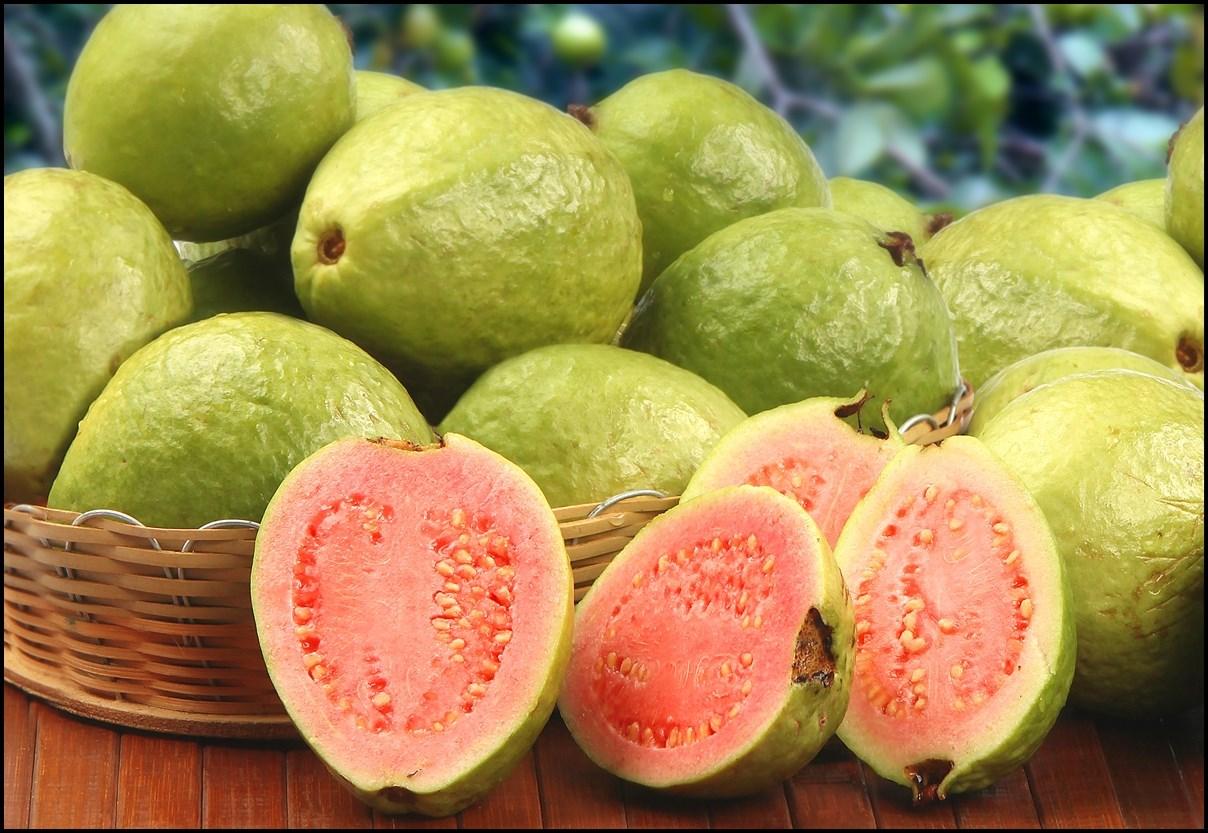 Tropická guava