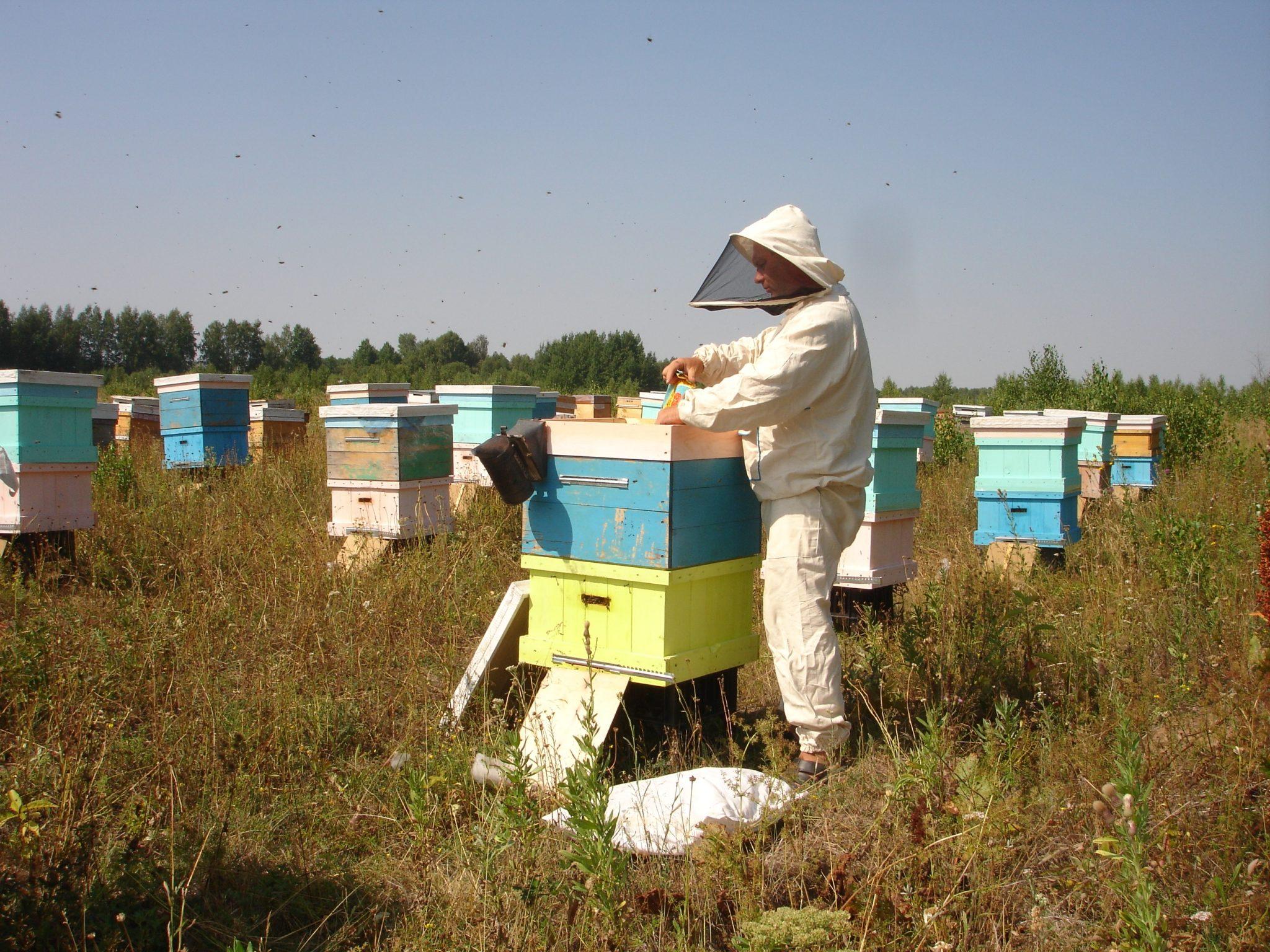 Uralský včelín