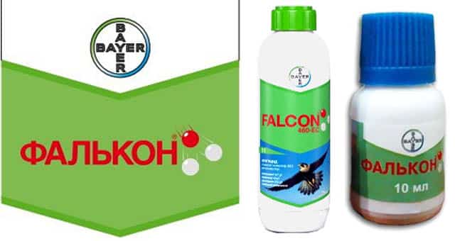 falcon fungicide 