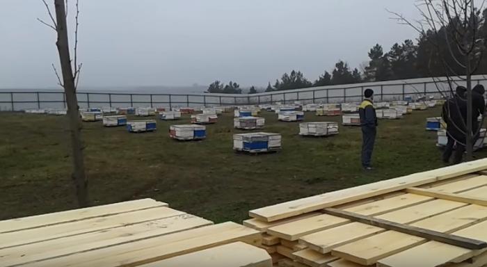 průmyslový včelín