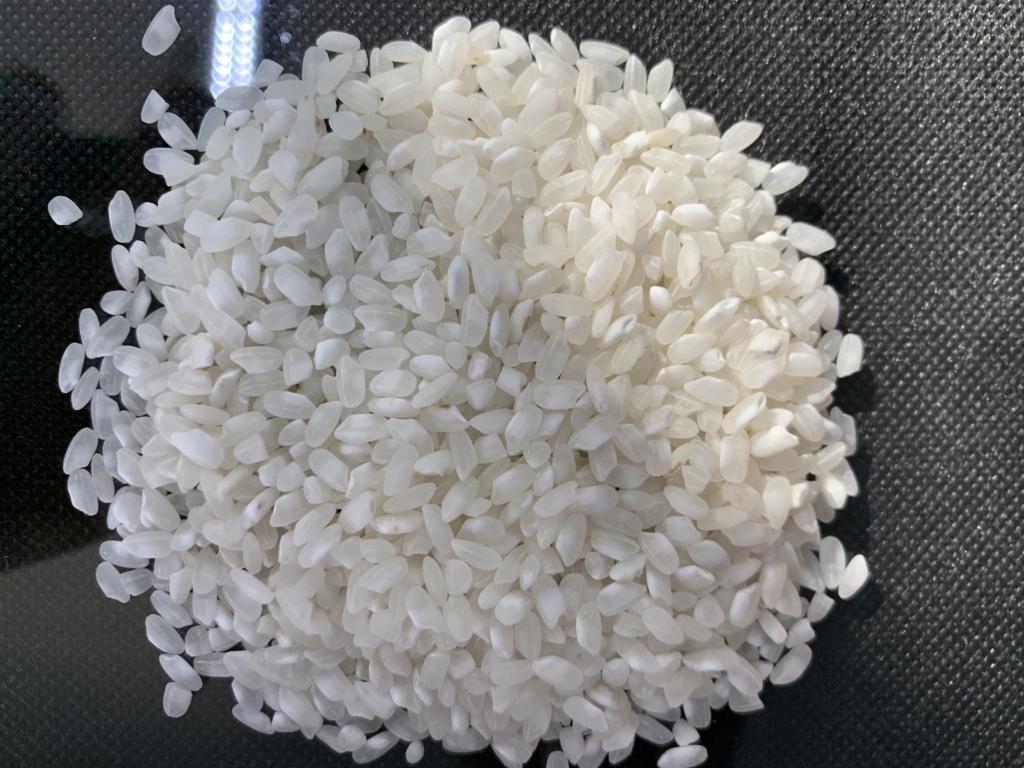 rýže Baldo