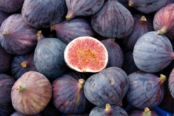 Préparation des figues