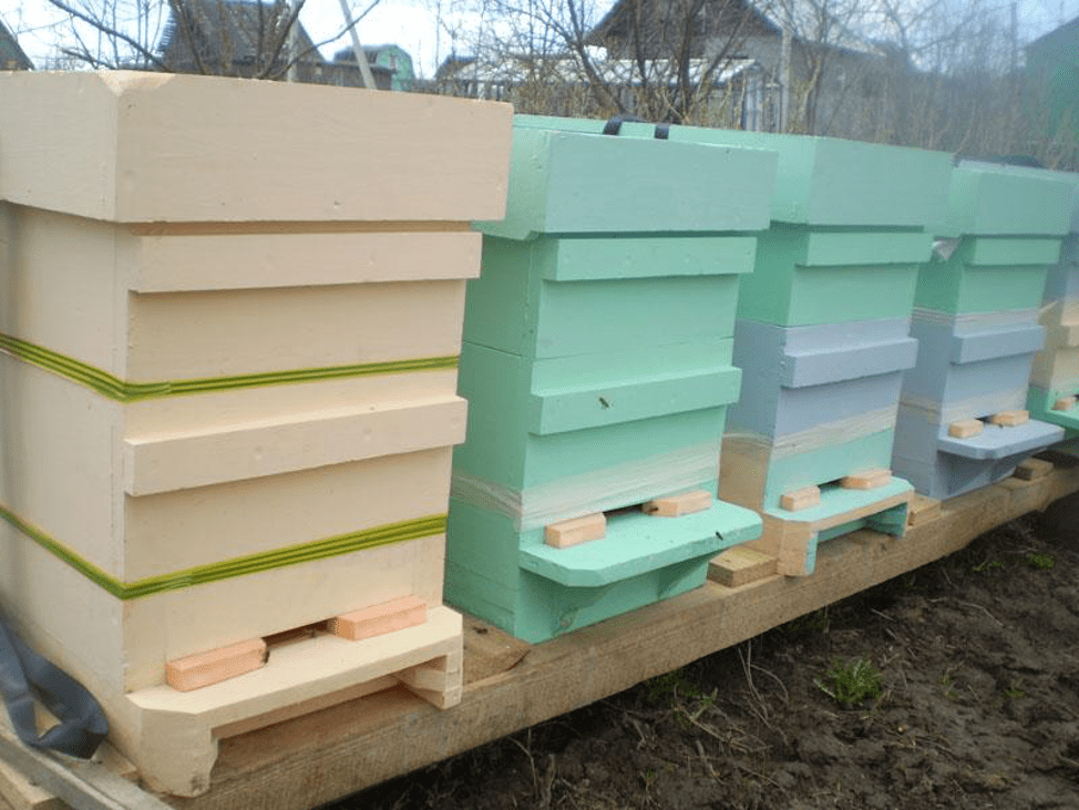 Hive made from polystyrene foam