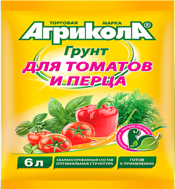 Агрицола