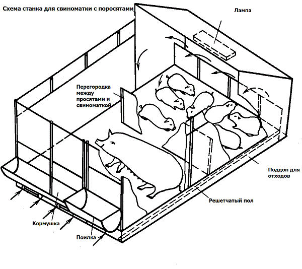 desenho de célula