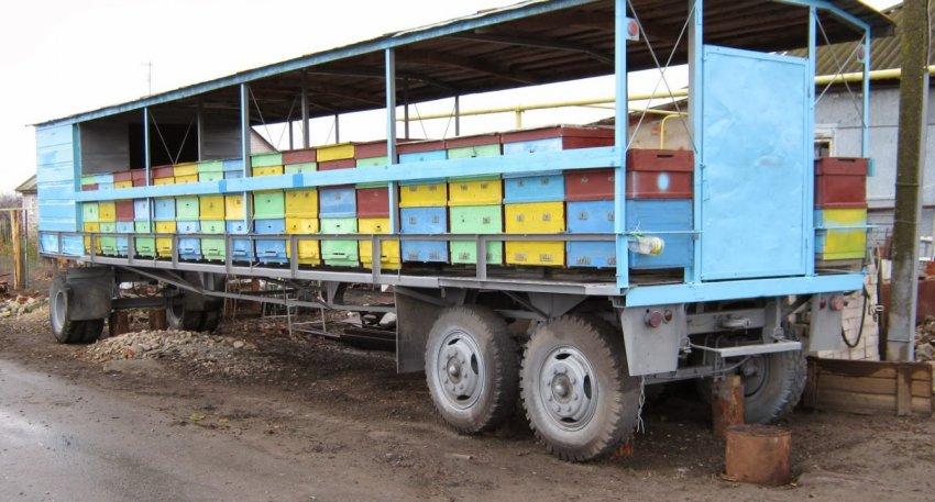 transport d'abeilles