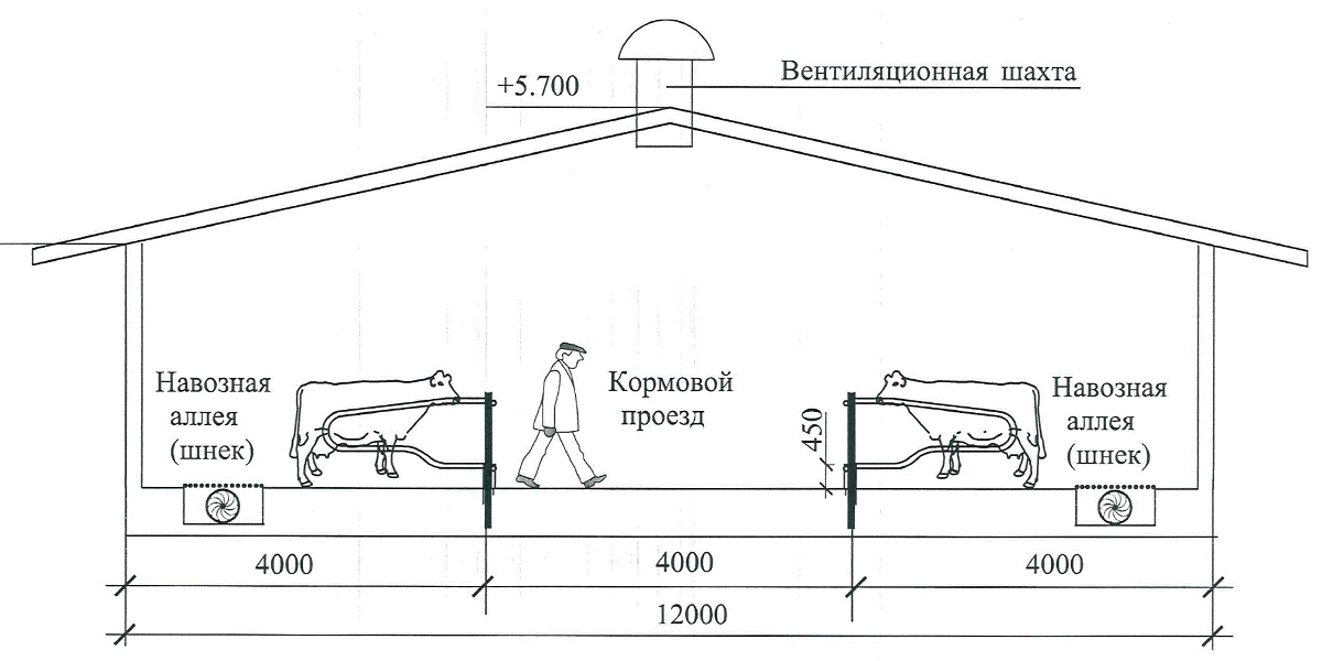 штала за краве