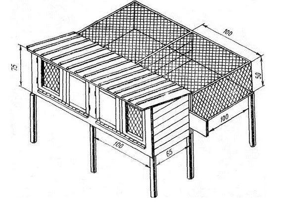 rabbit cages drawing