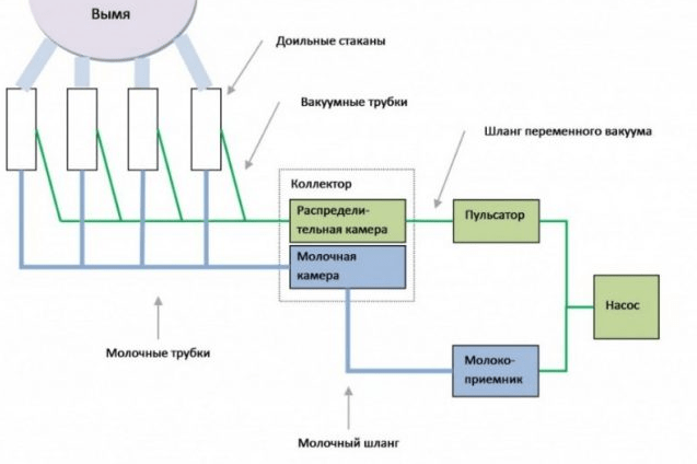 дијаграм апарата