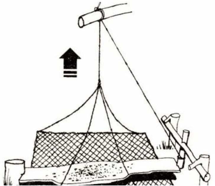 Schema eines Geräts zum Angeln mit einem Fischernetz