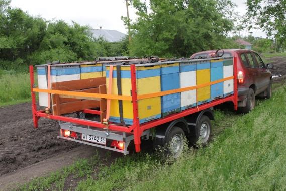 transport d'abeilles