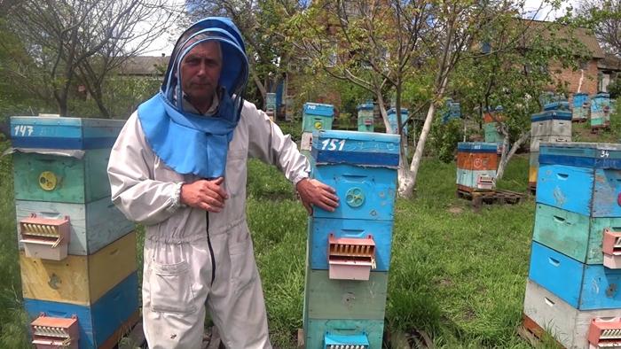 élevage de deux reines d'abeilles