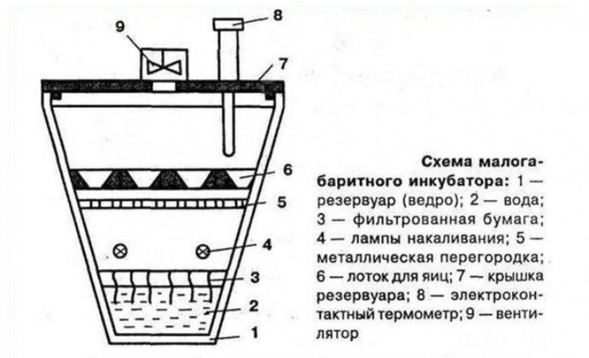 инкубатор за јаја