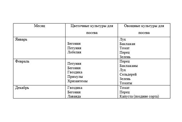 holdnaptár paradicsom ültetéshez 2019