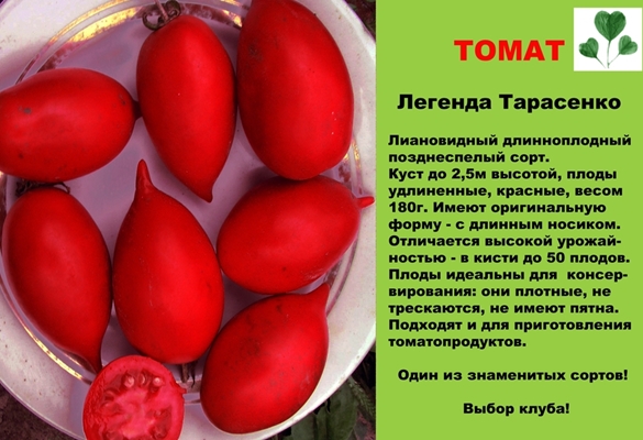 descrição da lenda do tomate Tarasenko