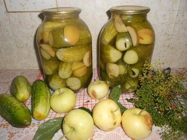 Pikantní lehce slané okurky s jablky