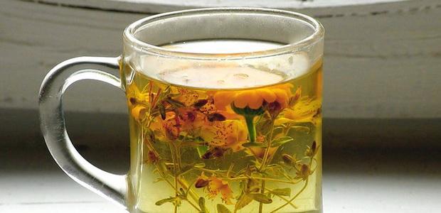 Decoction of Potentilla erecta 