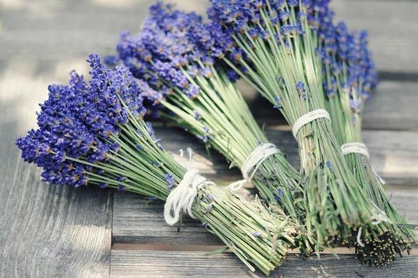 lavender bouquets 