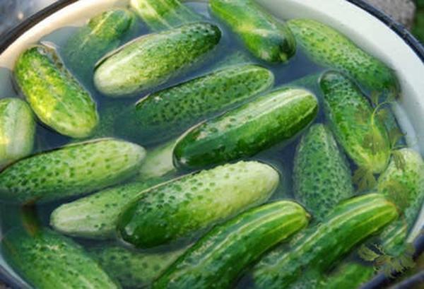 recipe ng pipino na may vodka