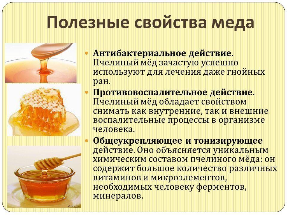 How honey is beneficial for the body, its properties and harm, how to use it correctly