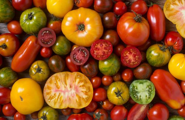Nejlepší odrůdy rajčat pro rok 2024