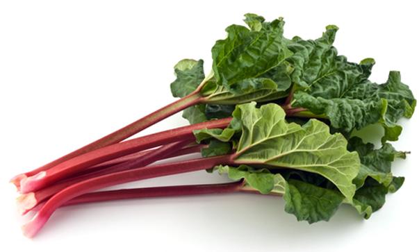 Rhubarb leaves