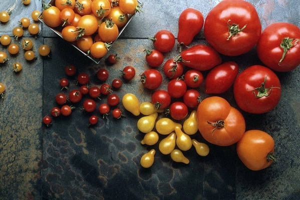 verscheidenheid aan tomaten op tafel