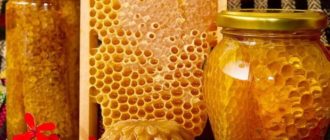 zabrusový med