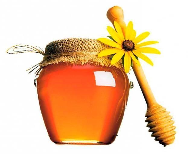 ostropestřecový med