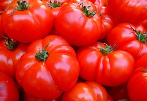 appearance of Sibiryak tomatoes