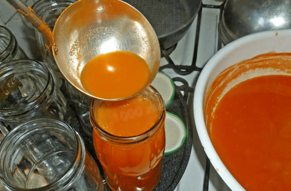 Orangensaft mit Kürbis 