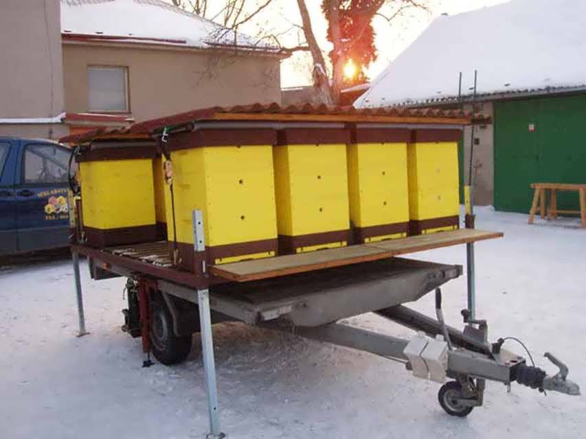 transport d'abeilles