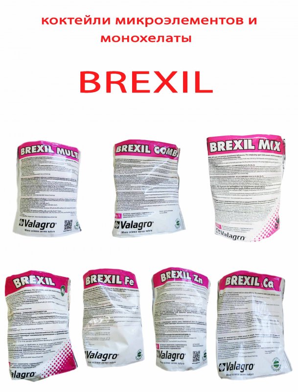 Instruccions d'ús i composició de Brexil, compatibilitat de productes i anàlegs