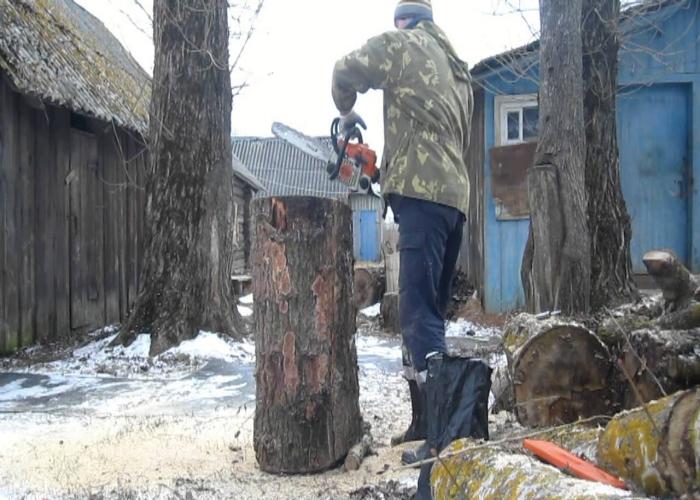 уради сам пчеларство