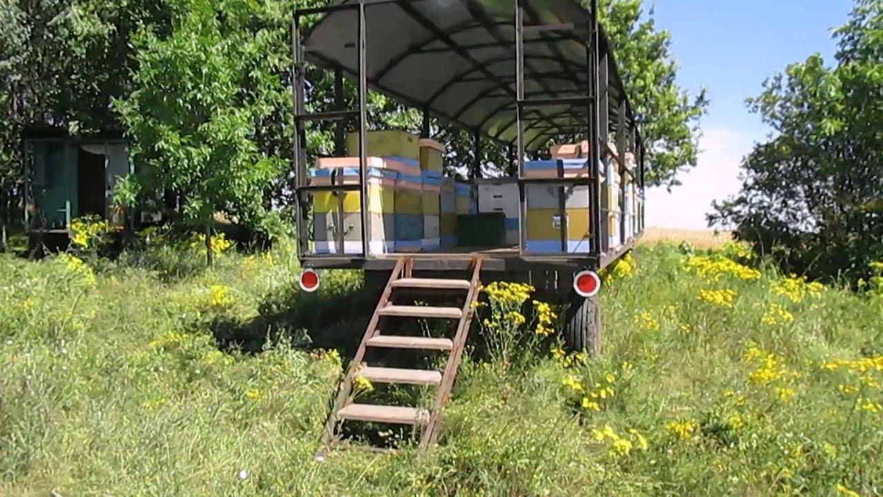 bišu transportēšana