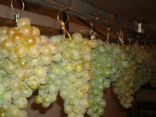 uvas blancas milagrosas