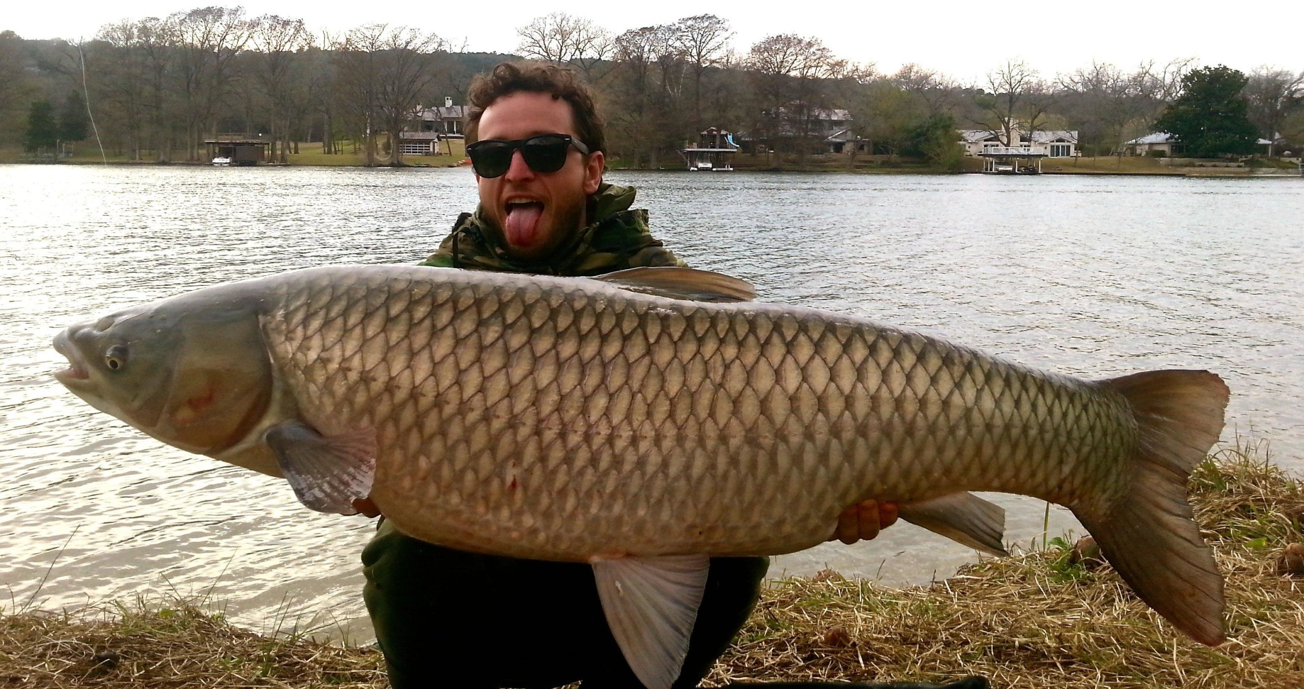 photo de poisson buffle