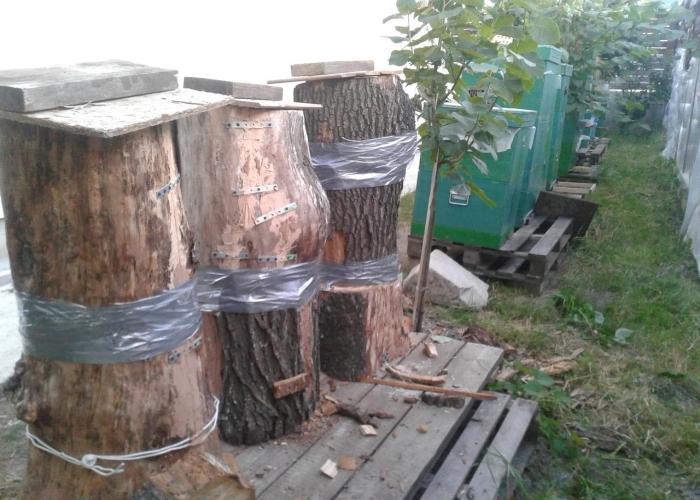 do-it-yourself beekeeping