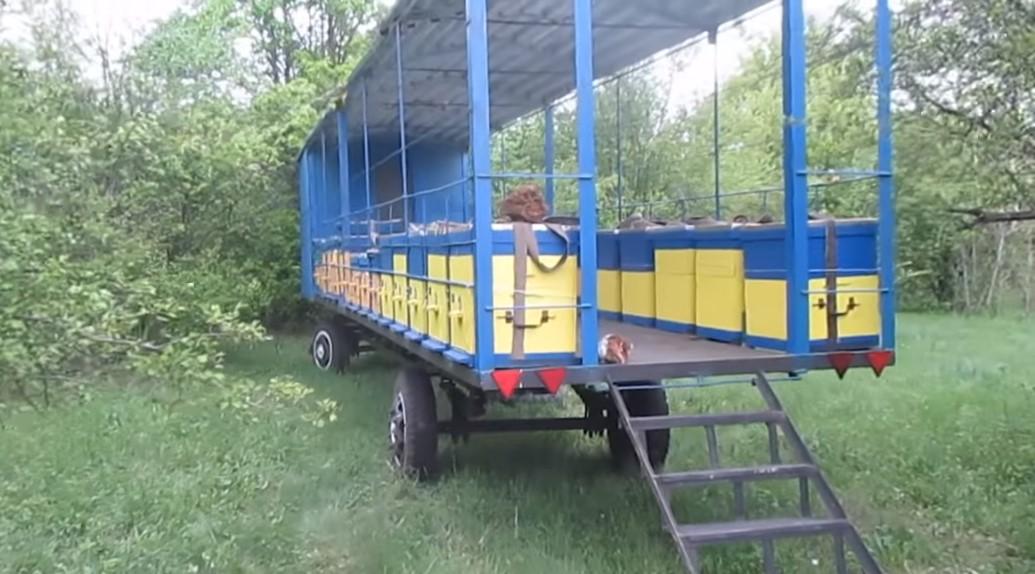 transport d'abeilles