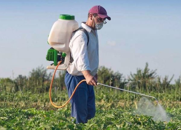 pulverizando o campo